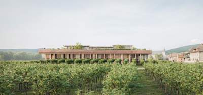 Cité des Vins d'Alsace - Groupe Seltz - Seltz Constructions