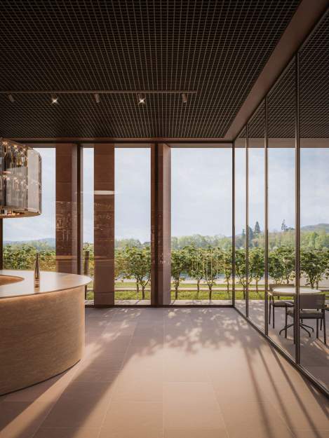 Cité des Vins d'Alsace - Groupe Seltz - Seltz Constructions